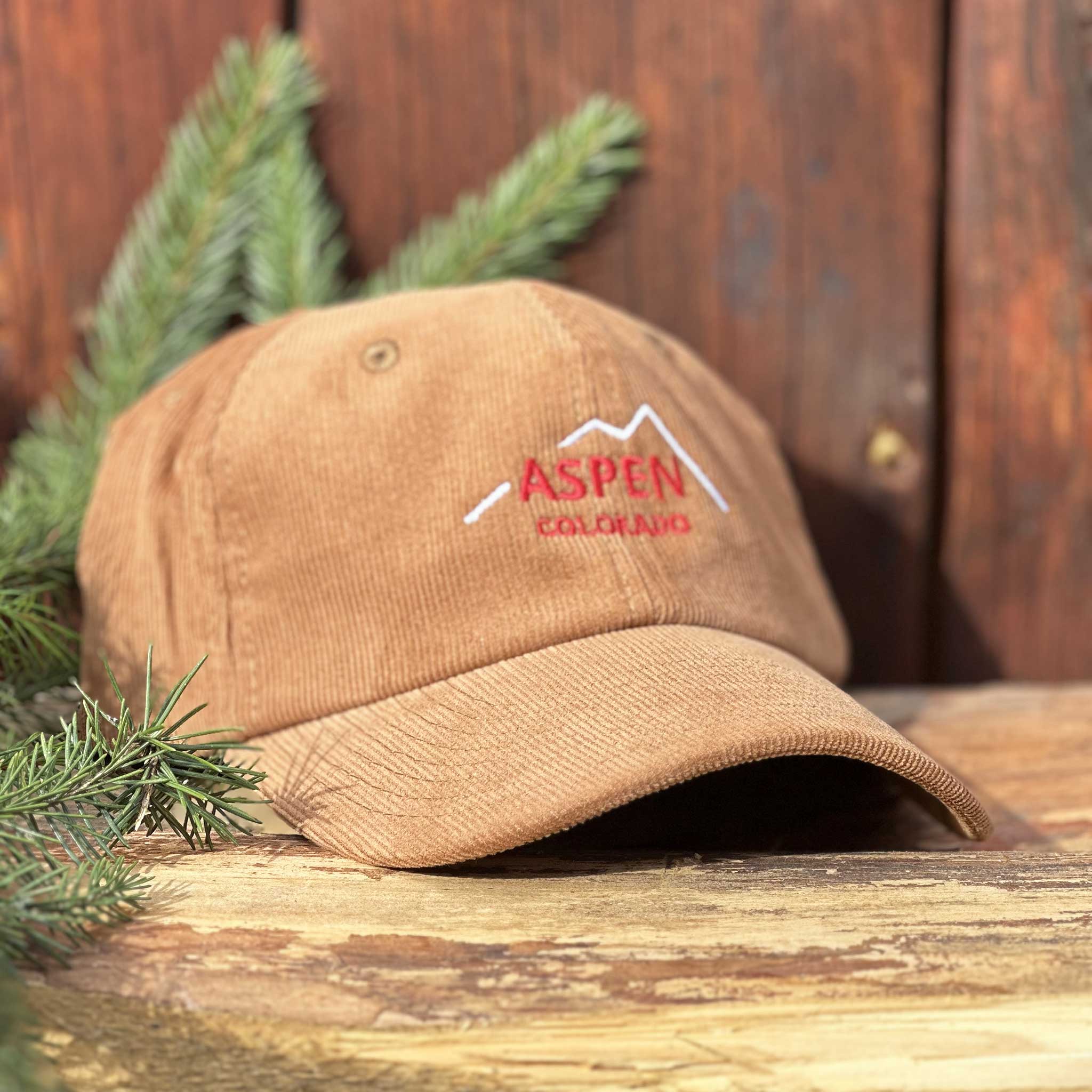Casquette Aspen Summit