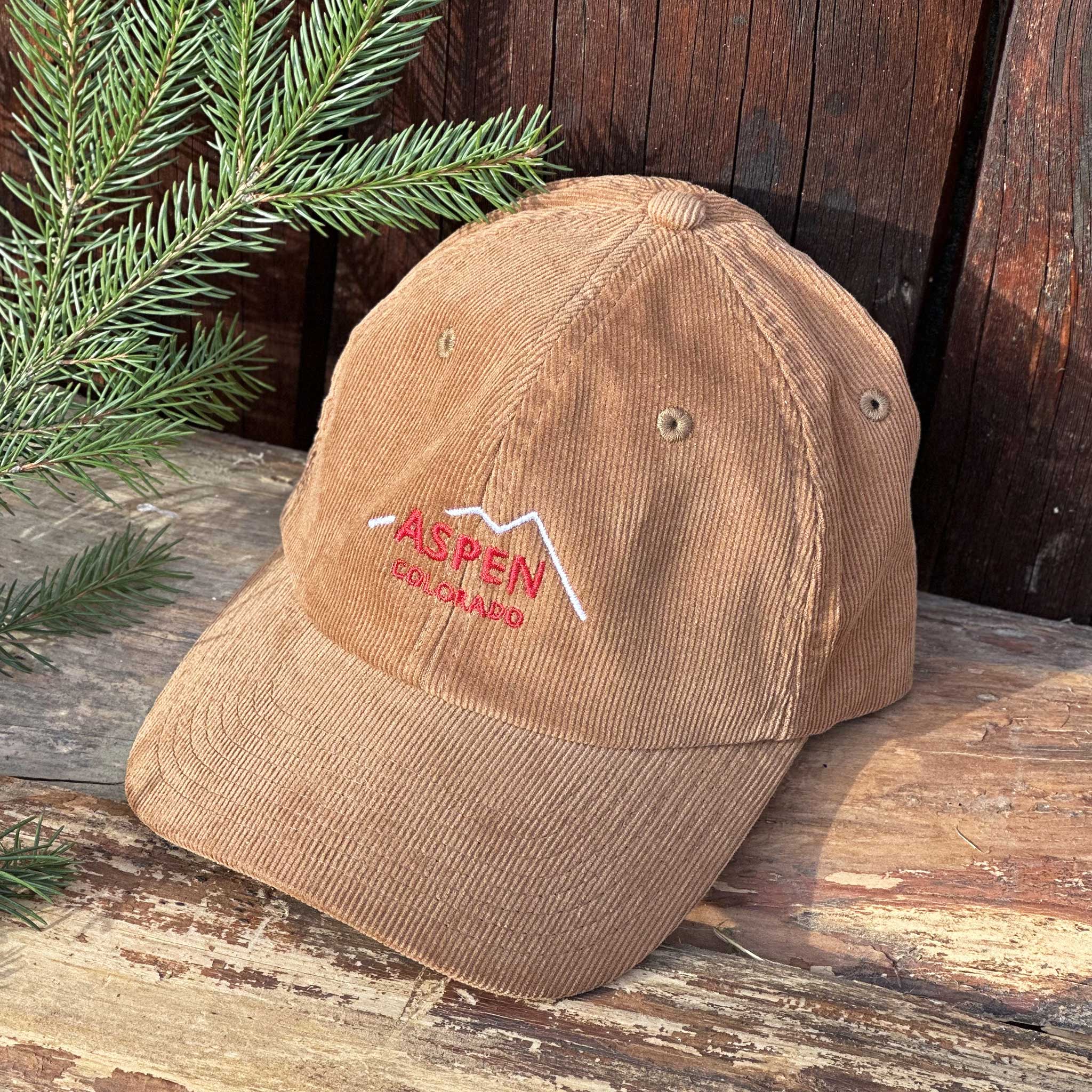 Casquette Aspen Summit