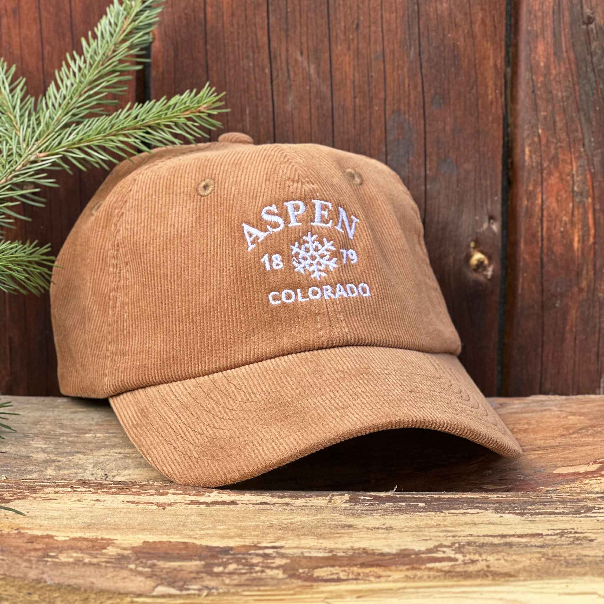 Casquette Aspen - Brown