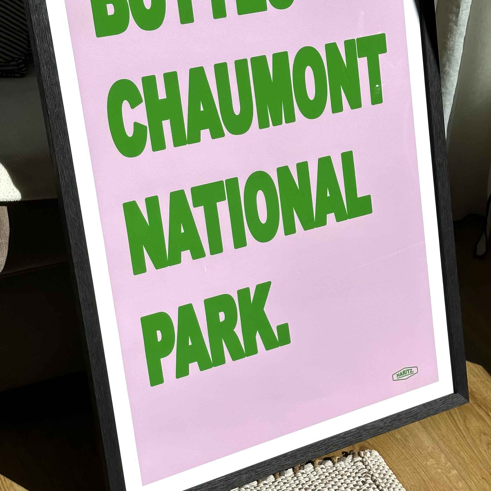 Affiche BUTTES CHAUMONT NATIONAL PARK