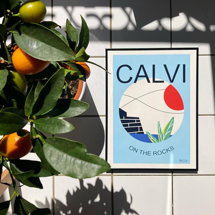 Affiche CALVI