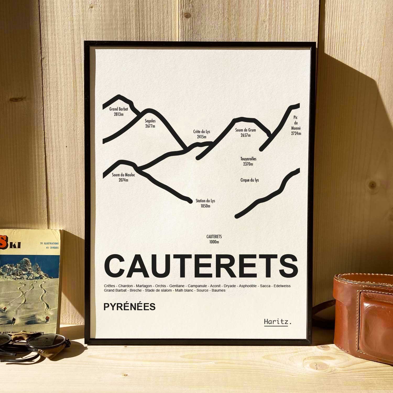 Affiche CAUTERETS