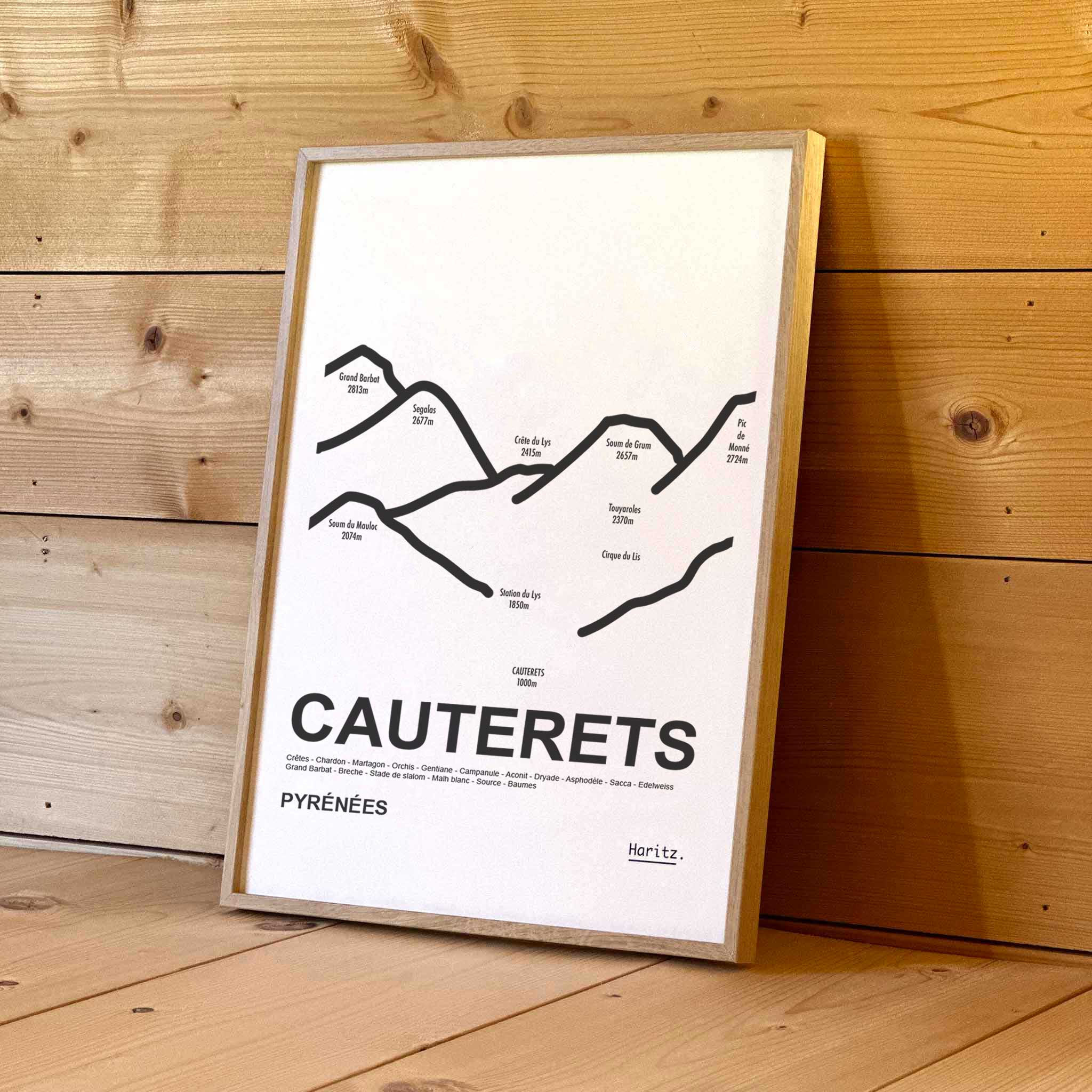 Affiche CAUTERETS