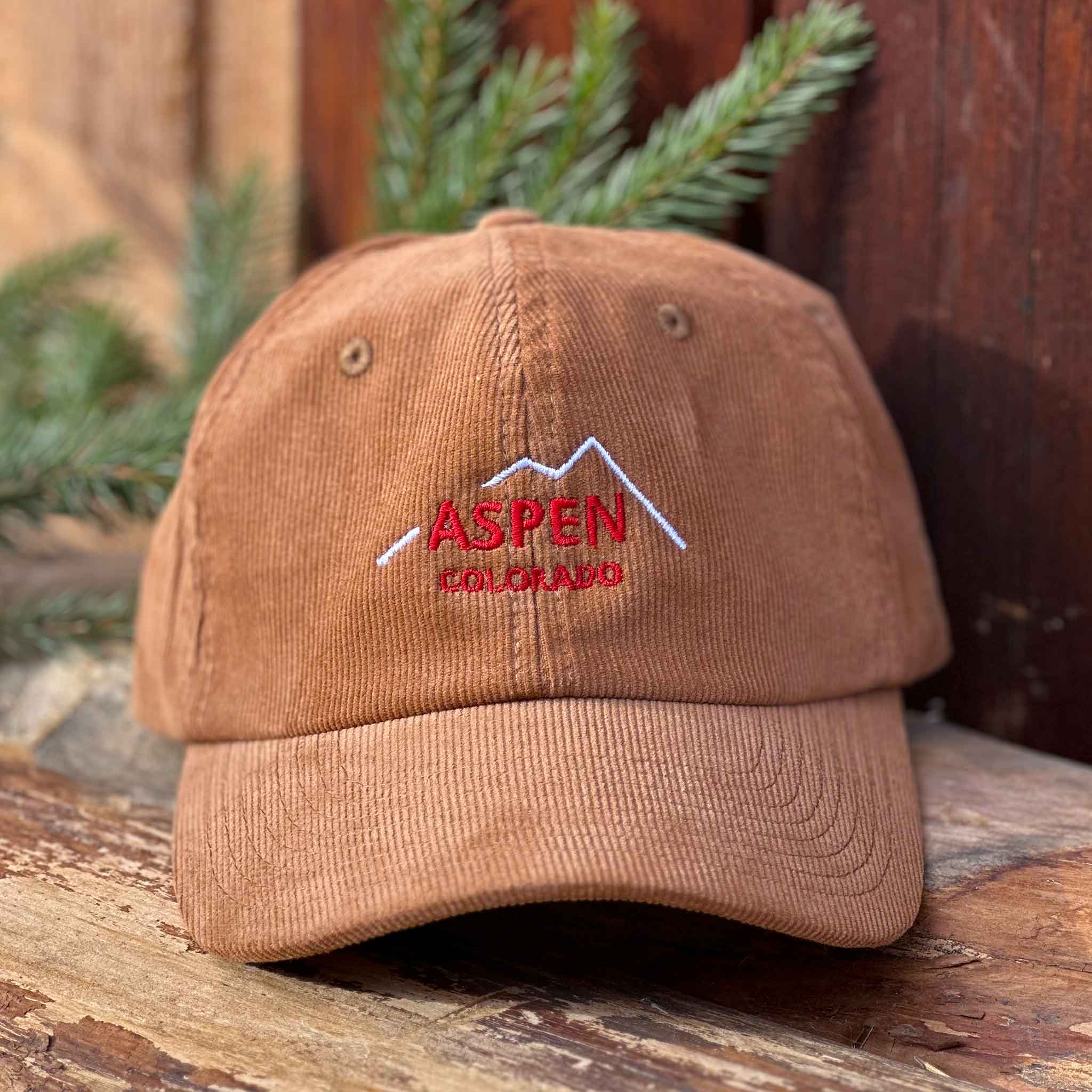 Casquette Aspen Summit