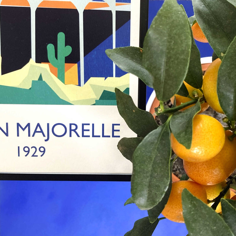 Affiche Jardin Majorelle 1929